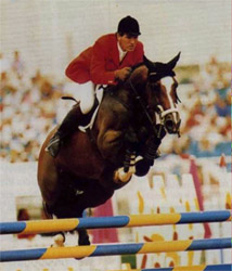 Classic Touch - Showjumping Horse